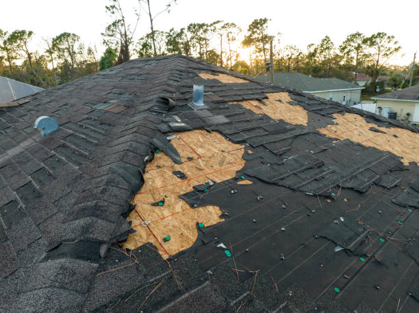 Best Metal Roofing Installation  in Redwood, OR