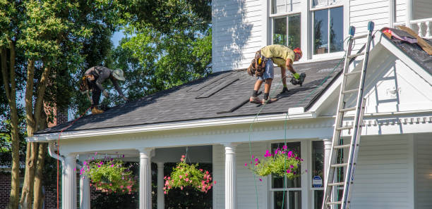 Best Roof Insulation Installation  in Redwood, OR